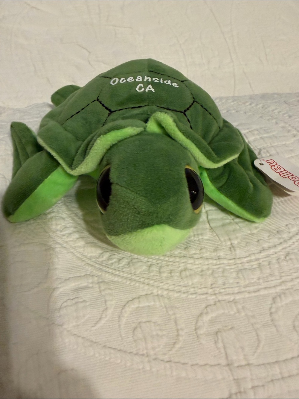 2 for$5✨Dollibu Oceanside CA Green Sea Turtle Plush 8 Inch